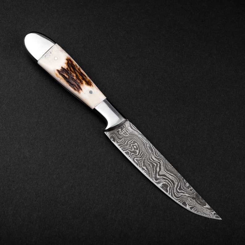 Stag Antler Damascus Steel Steak Knives Set 4 Pcs, BBQ Steak Knives