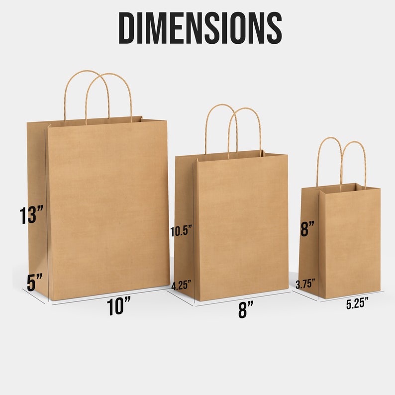 BAGKRAFT Brown Paper Bags With Handles Mixed Size 100 Recyclable Kraft