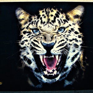 CHEETAH WILDLIFE BIG Cat Animal Love Friend Metal Car Novelty License Plate Auto Tag Paws Tiger Leopard, Cougar, Puma, Lion, Bob cat, Jaguar