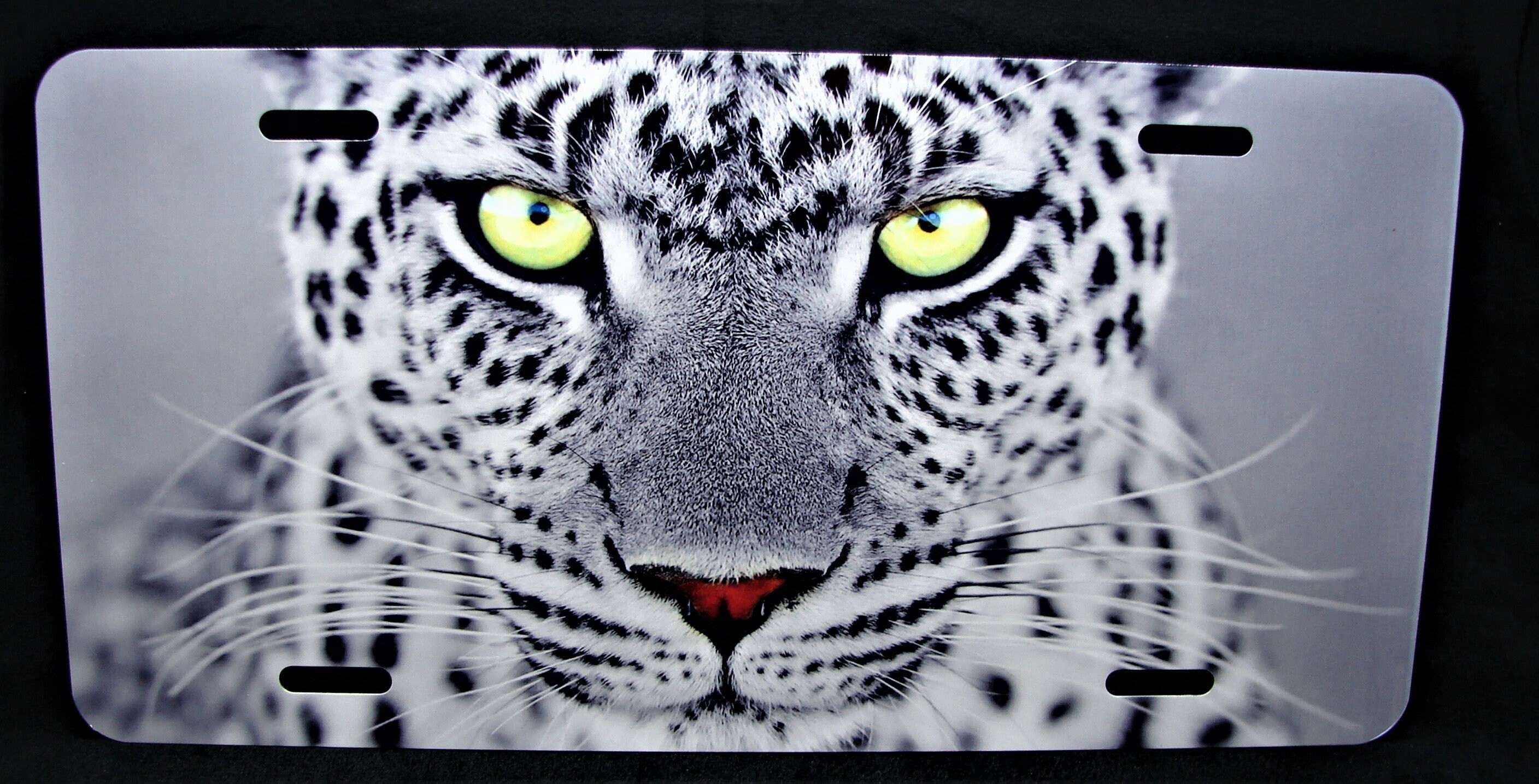 Femme cougar puma jaguar deals