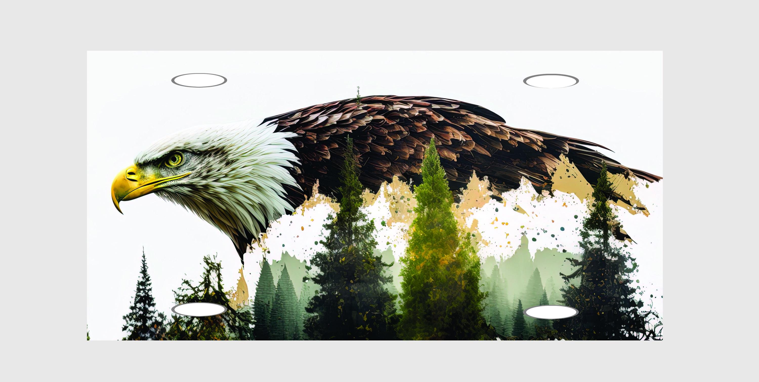 アメリカ州別メタルライセンスプレートコレクション アメリカ国旗 金属製車用ノベルティナンバープレート オートタグ