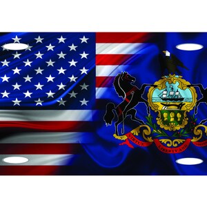 BANDIERA DELLO STATO DELLA PENNSYLVANIA e bandiera americana sventolante targa in metallo per auto novità