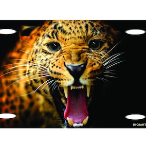 CHEETAH WILDLIFE BIG Cat Animal Love Friend Metal Car Novelty License Plate Tag. Paws Tiger, Leopard, Cougar, Puma, Lion, Bob cat, Jaguar