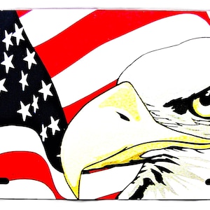 AMERICAN FLAG American Bald Eagle Metal Car Novelty License Plate Auto tag. USA flag, U.S. Flag