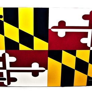 Placa de matrícula de metal con la bandera del estado de Maryland para auto