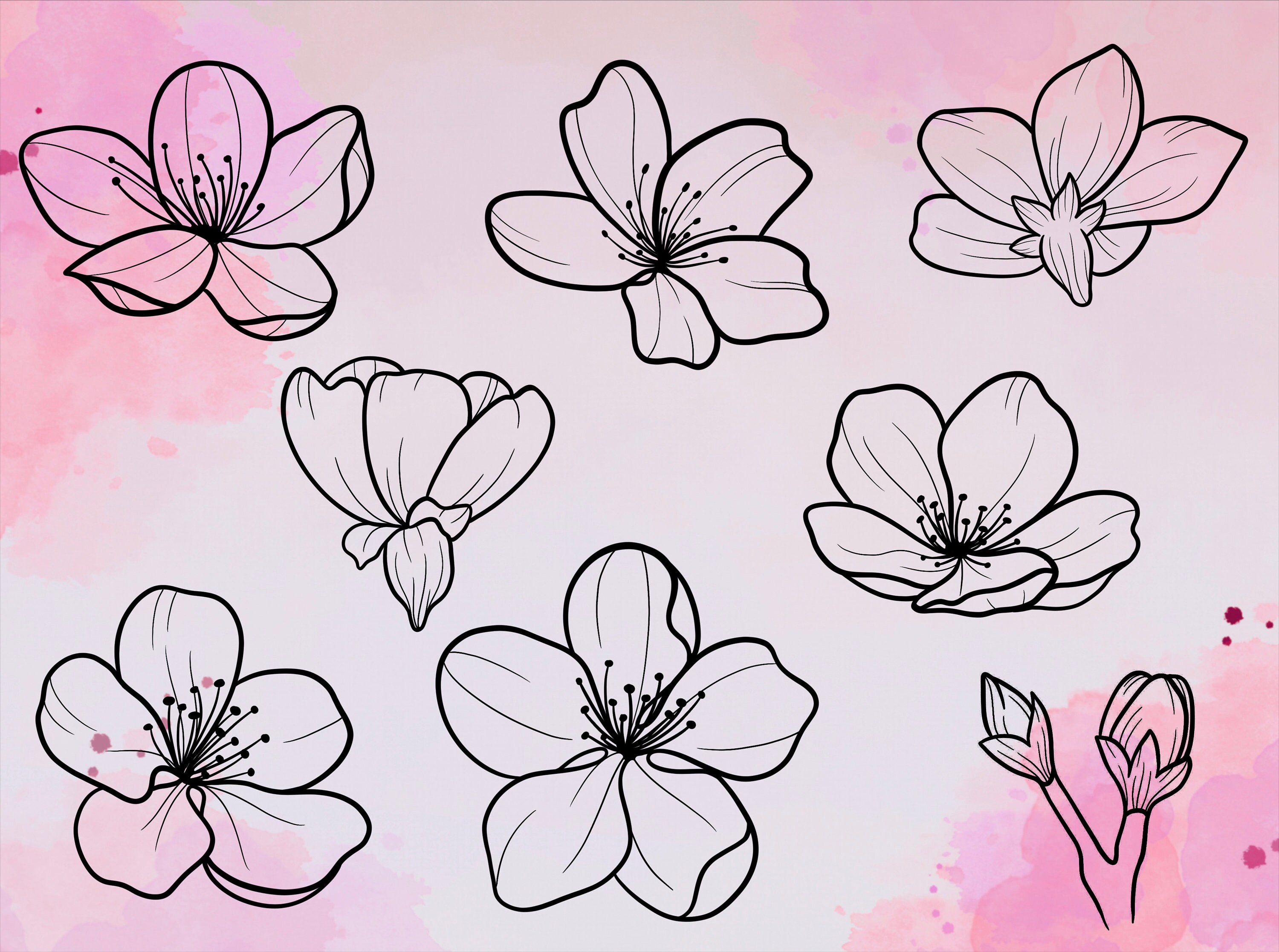 Procreate 20 Cherry Blossom Botanical Stamps Bundle - Etsy