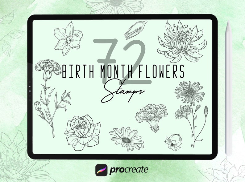 72 Birthmonth Flowers Procreate Stencils Etsy