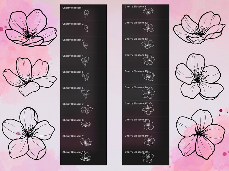 Procreate 20 Cherry Blossom Botanical Stamps Bundle - Etsy