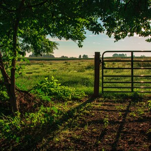Pasture Gate - Framed Print