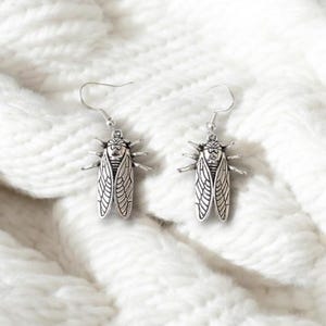 May include: A pair of silver cicada earrings with detailed wings and a textured finish.