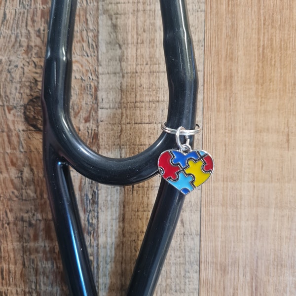 Autism Awareness ~ Stethoscope Charm ~ RN Charm ~ Medical Stethoscope Charm ~ Physician Charm ~ Stethoscope Tag ~ OT ~ PT ~ Austism Charm