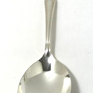 May include: A silver serving spoon with a decorative floral design on the handle. The spoon has a rounded bowl and a long, slender handle.