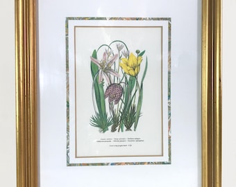 Vintage Tulips Botanical Artwork, Matted and Framed. I 8" x 11" I 1980s