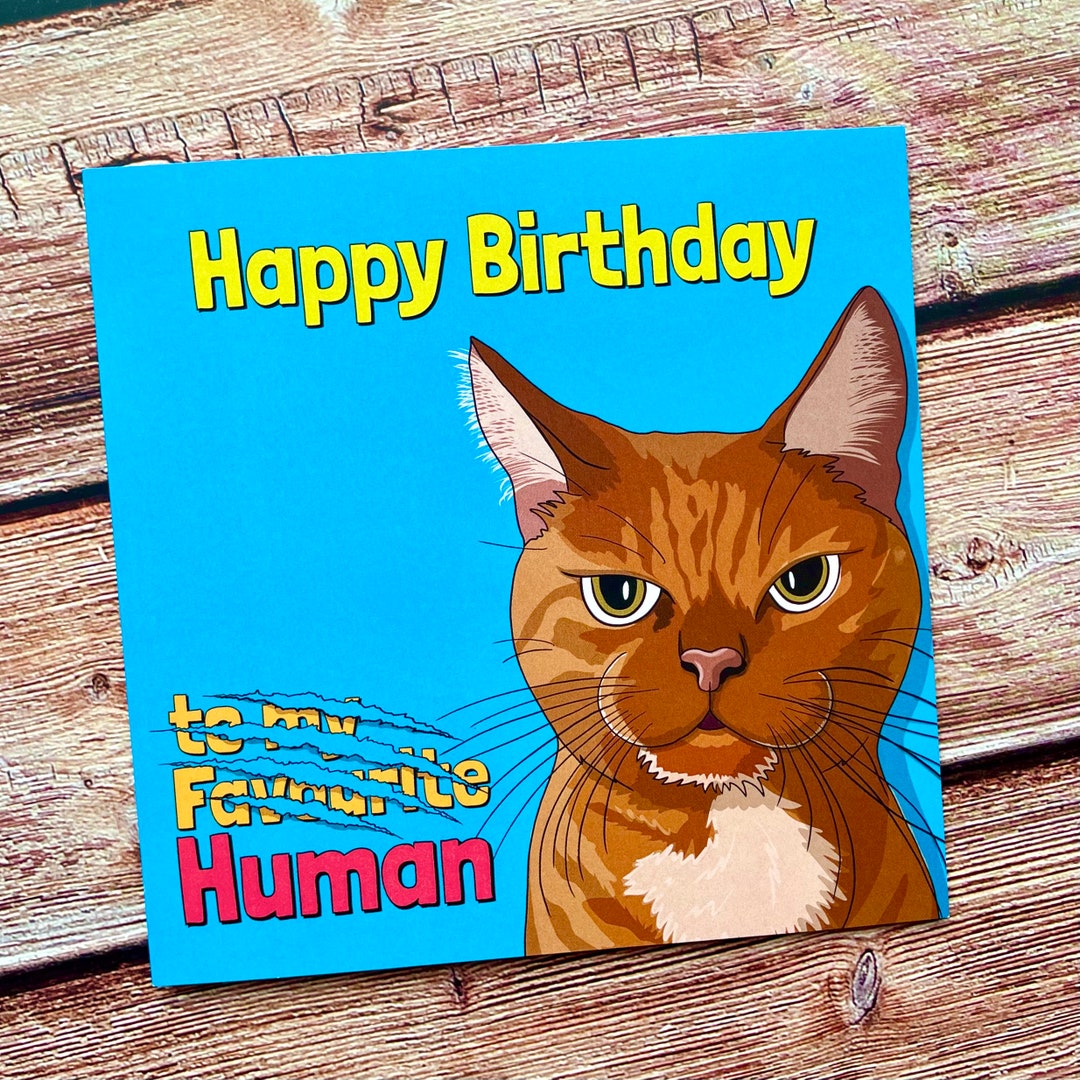 Happy Birthday Human | From the Cat | Pet Card - Etsy
