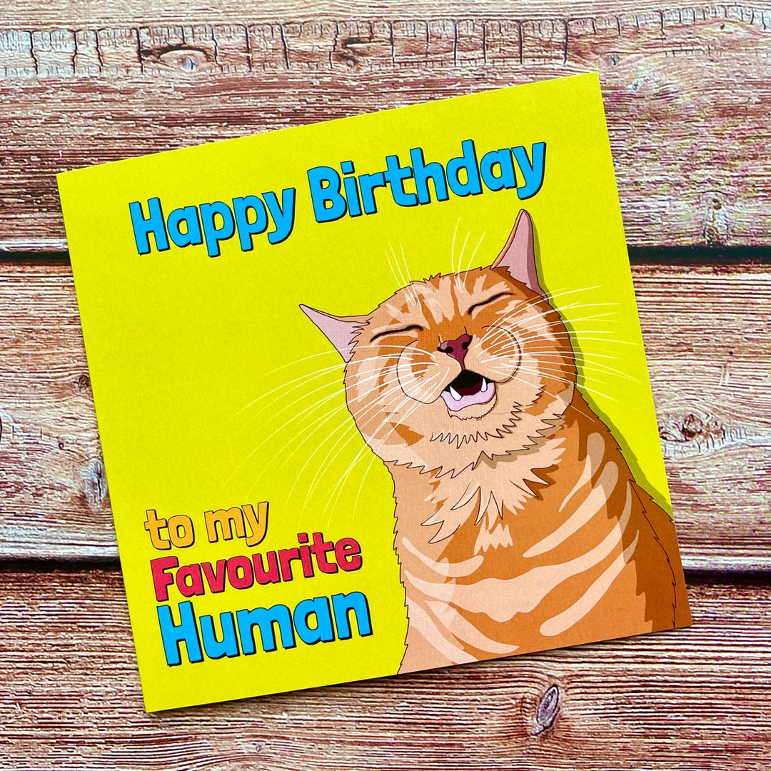 Happy Birthday From the Cat | Favourite Human | Pet Card - Etsy