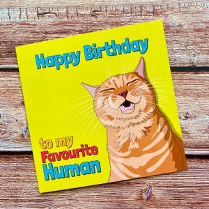 猫からの誕生日おめでとう | 大好きな人間 | ペットカード