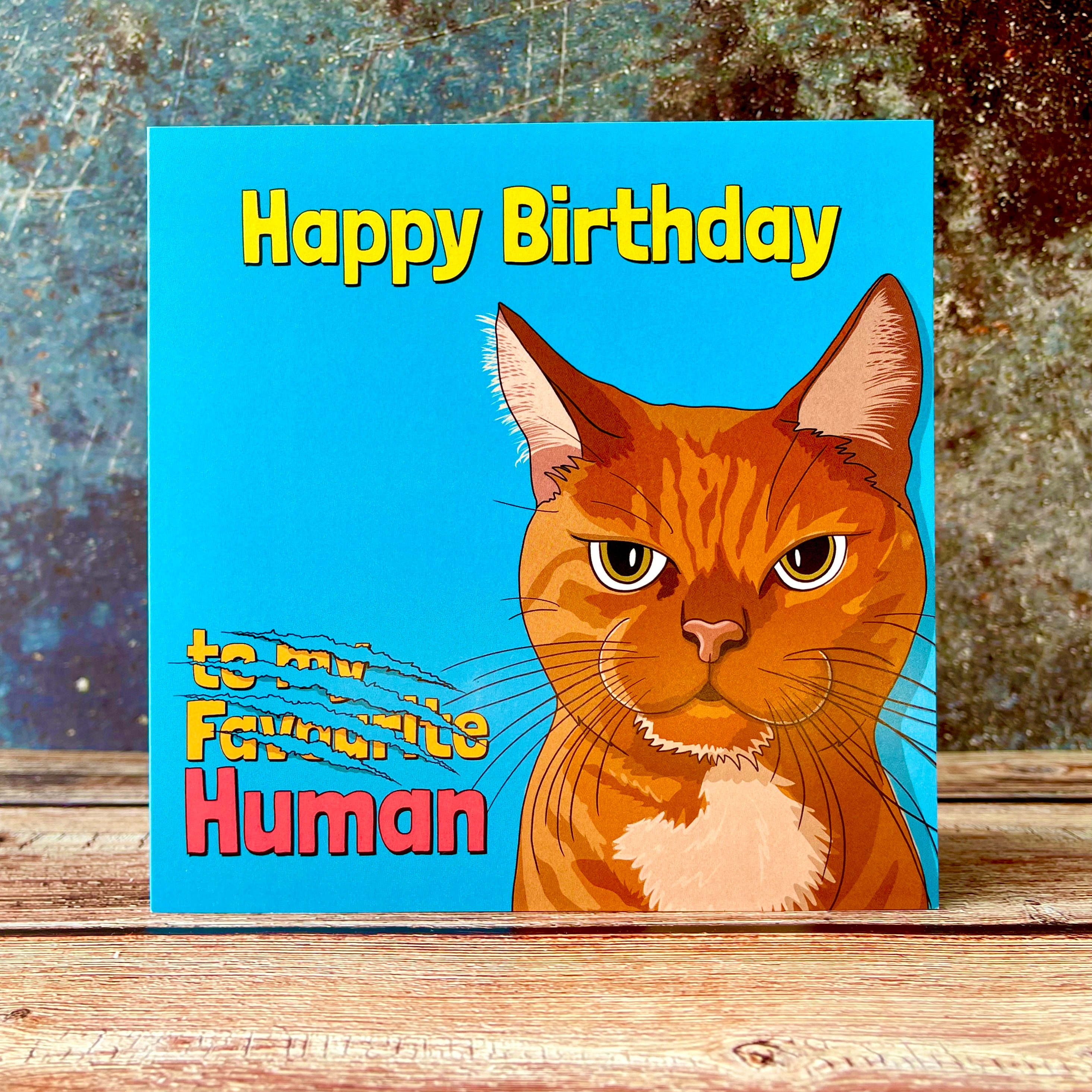Happy Birthday Human | From the Cat | Pet Card - Etsy