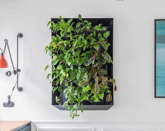 Vertiforma vertical garden, indor green living wall frame