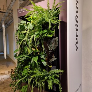 Vertiforma vertical garden, indor green living wall frame image 6
