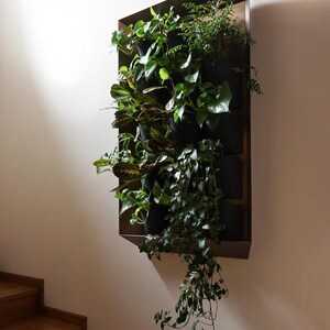 Vertiforma vertical garden, indor green living wall frame image 4