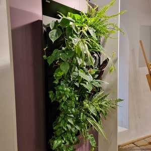 Vertiforma vertical garden, indor green living wall frame image 5