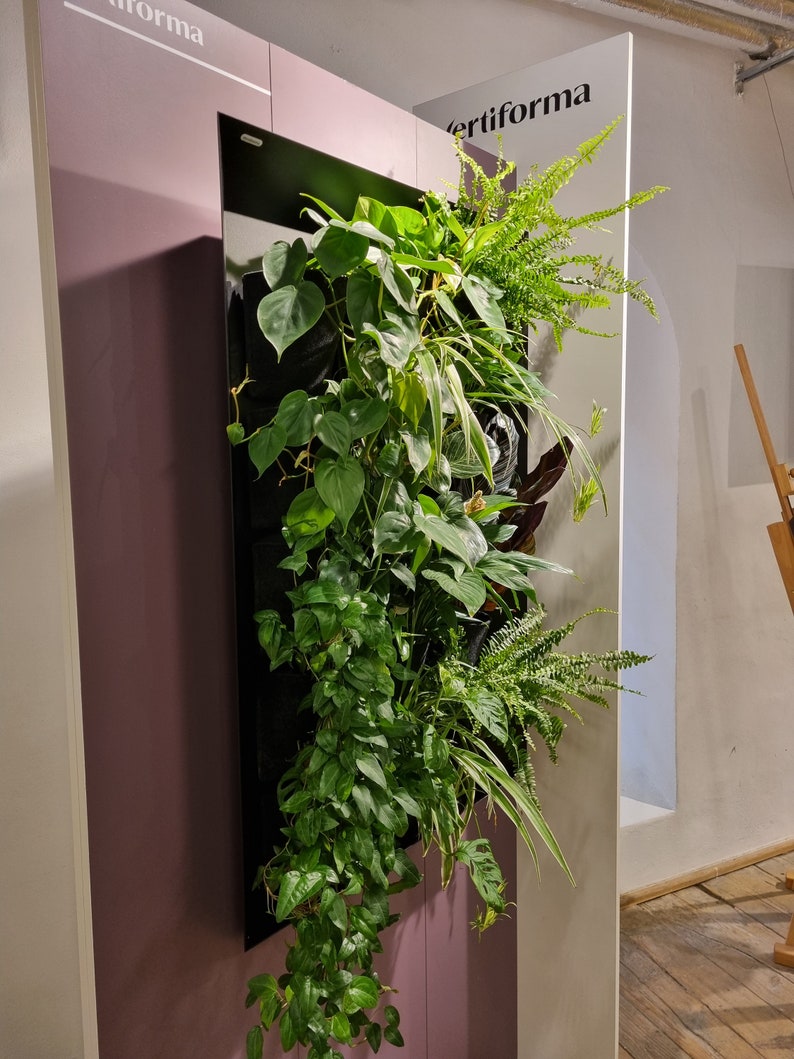 Vertiforma vertical garden, indor green living wall frame image 5
