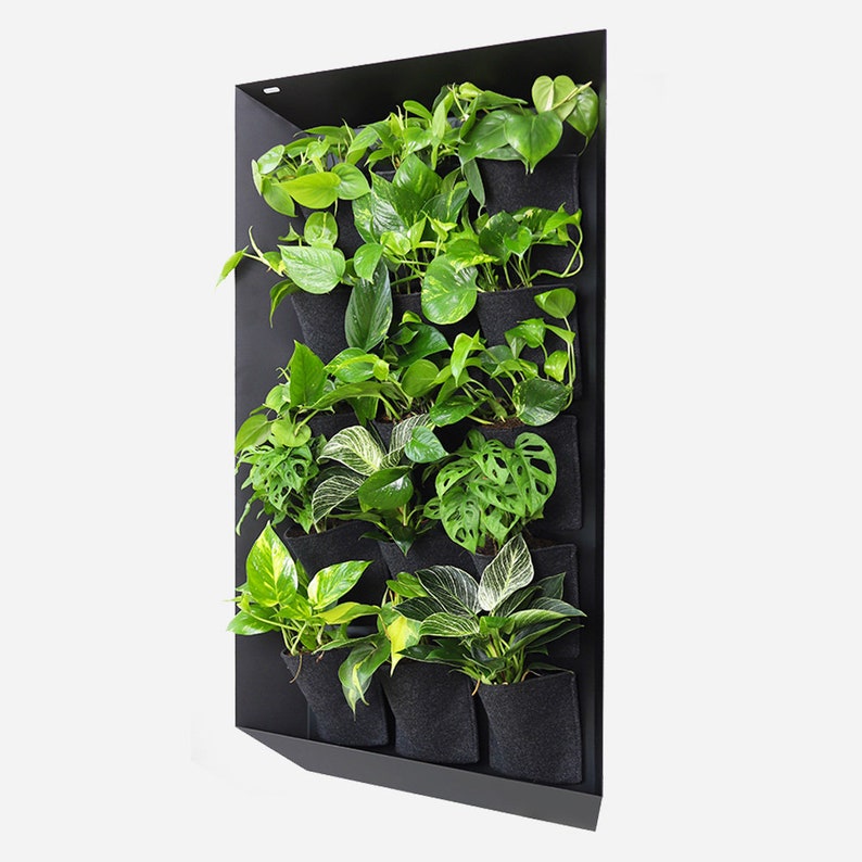 Vertiforma vertical garden, indor green living wall frame image 7