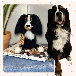 Custom Crochet Dog