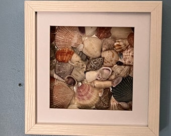 Seashell collage in 7x7” wall frame.