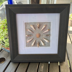 May include: A framed seashell art piece with a variety of seashells arranged in a circular pattern on a light gray background. The frame is black and has a white mat.