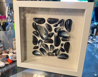 Mussel shells square frame #25-6.  White - 9x9”, 1-3/4” deep