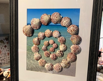 Scallop spiral #3