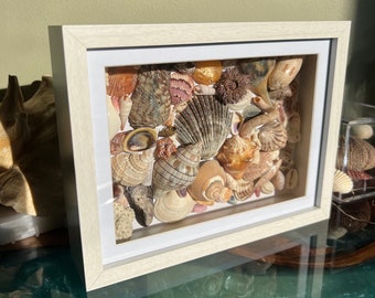 Seashell collage