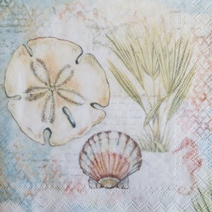 May include: A vintage-style illustration of a seashell, a sand dollar, and a cluster of palm fronds on a light blue and white background.