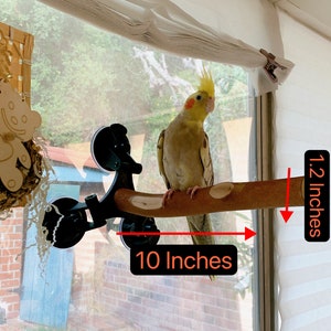 Strong Grid Portable 3 Suction Cup Stick On Natural Wooden Parrot Window Car Bathroom Bird Perch Branch Stand For Small Medium And Big birds