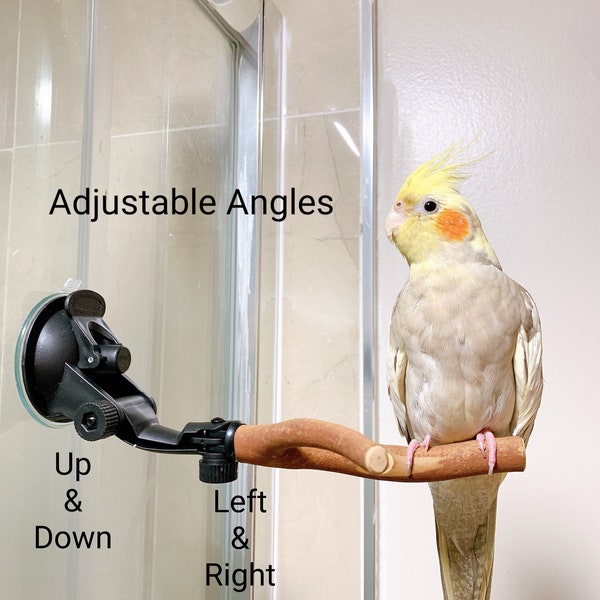 Suction Cup Perch Etsy