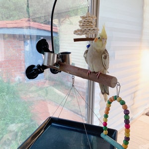 Birds Playground 3 Suction Cup Natural Wooden Parrot Window Bathroom Bird Perch Branch Stand With Food And Water Containers, Toy and Tray