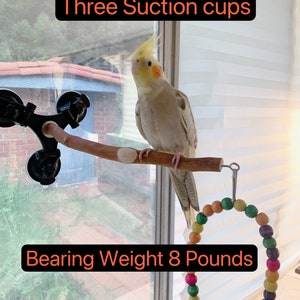 13 Inches Strong Grid Portable 3 Suction Cup Natural Wooden Parrot Window Car Bathroom Bird Perch Branch Stand For Medium Small Bird (Thin)