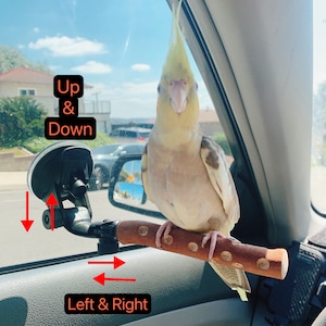 Strong Grid Portable Suction cup Stick On Natural Wooden Parrot Window Car Bathroom Bird Perch Branch  Stand For Small Medium Birds