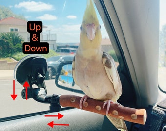 Suction Cup Bird Perch: Portable Natural Wood Parrot Stand For Small and Medium Bird