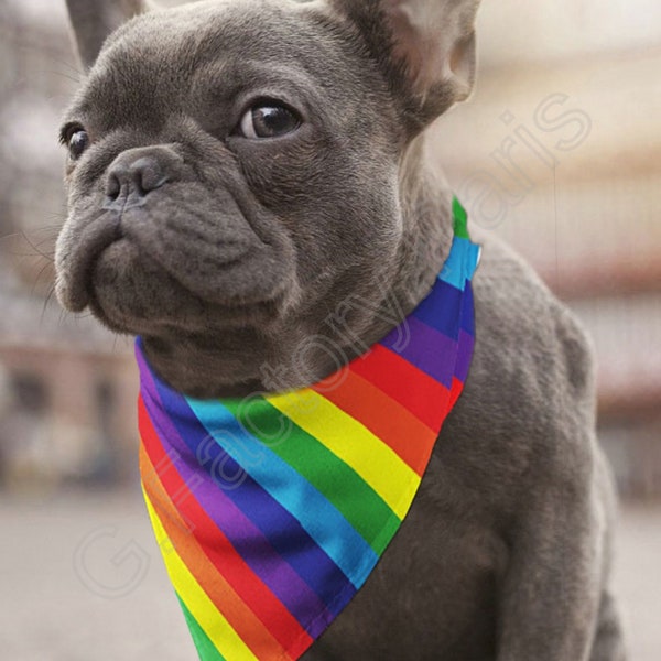 Bandana LGBT arc-en-ciel pour chien ou chat