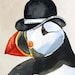 The Murder Puffin