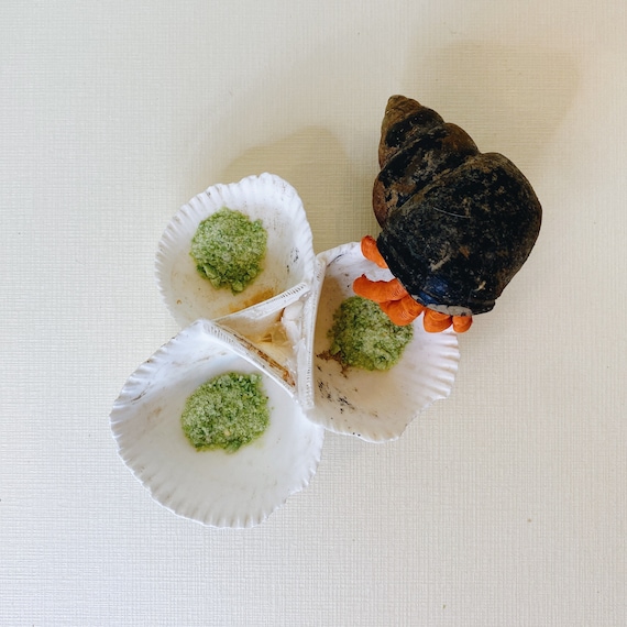 Hermit crab cheap food bowl