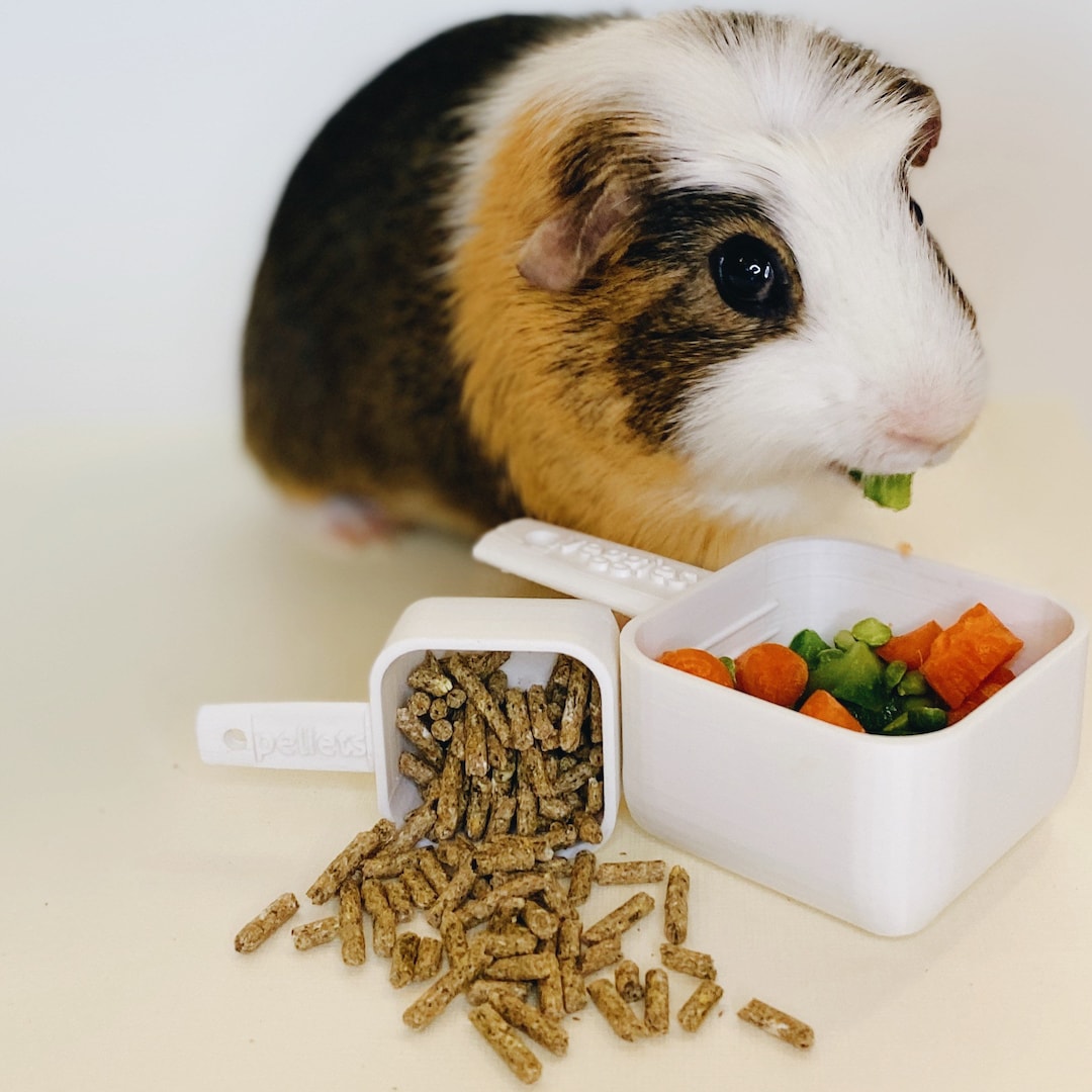 Small Pet Pellet and Veggies Food Scoops | Measuring Food Scoop for ...