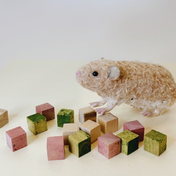 Small Pet Wood Block Chews Set of 5 Natural Treat for Guinea Pig Hamster Rat Rabbit Chinchilla Gerbil Mouse Rodent Etsy
