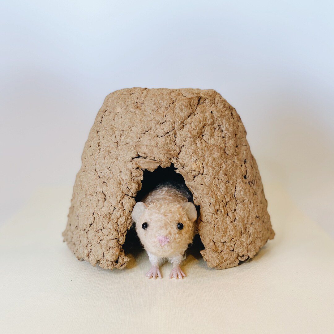 Photo inspiration: Gallery Detail: Eco Friendly Biodegradable Recycled Small Pet Hide