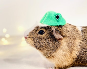 Small Pet Animal Hat Accessory | Hat for Guinea Pig, Hamster, Snake, Lizard, Frog, Reptile, Rodent