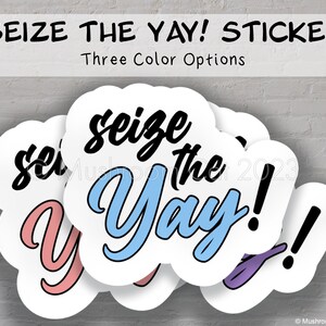 Seize the Yay! Sticker