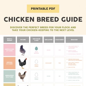 Guía de razas de gallinas / 42 razas populares / Información sobre puesta de huevos y cuidados