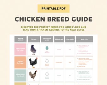 May include: A printable chart with information about different chicken breeds. The chart includes the breed name, weight, picture, egg color and size, egg laying, cold hardy, and behavior. The chart is designed to help people choose the right breed of chicken for their needs.